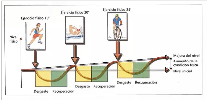 Principio de la alternancia